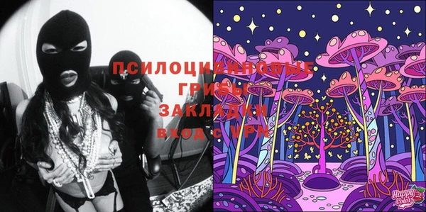 шишки Майский