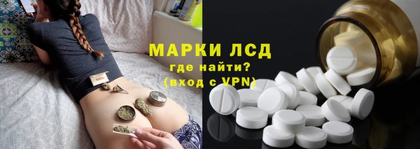 шишки Майский