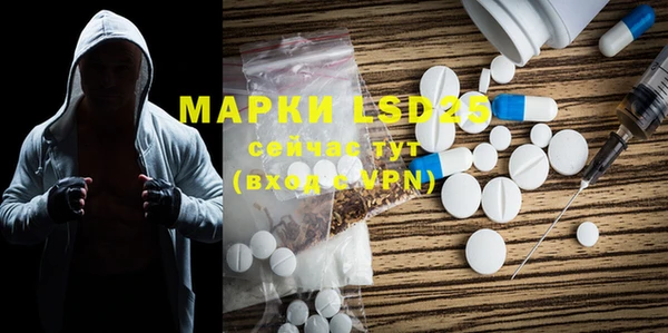 шишки Майский