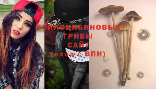 шишки Майский