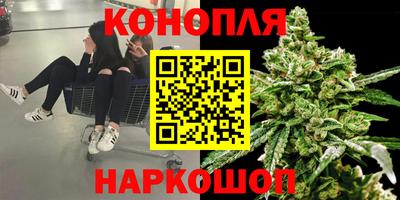 дживик Гатчина