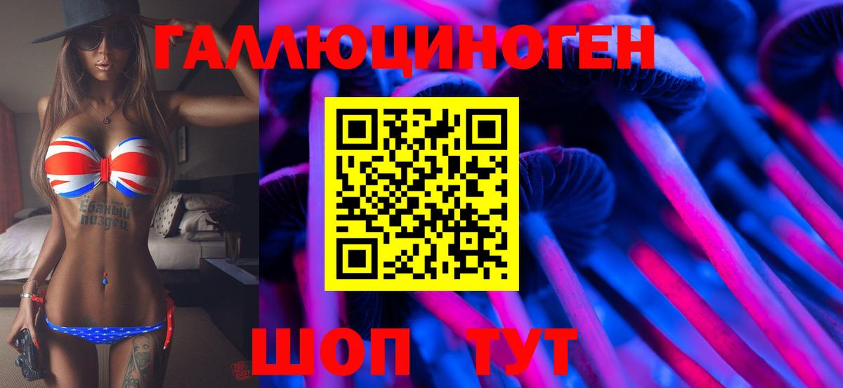 Галлюциногенные грибы GOLDEN TEACHER  Вход с VPN  Йошкар-Ола 